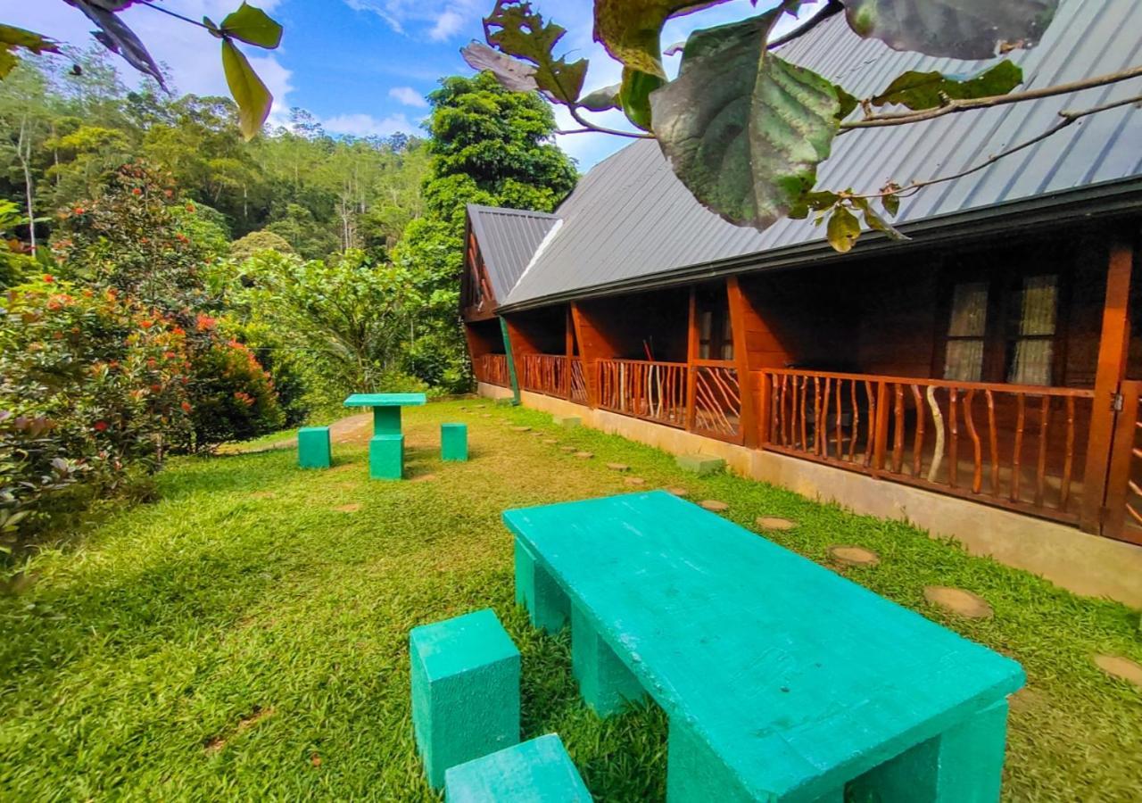 Cinnamon Village Sinharaja Deniyaya Exterior foto