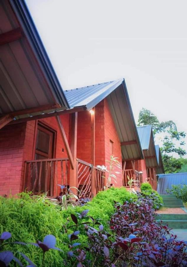 Cinnamon Village Sinharaja Deniyaya Exterior foto