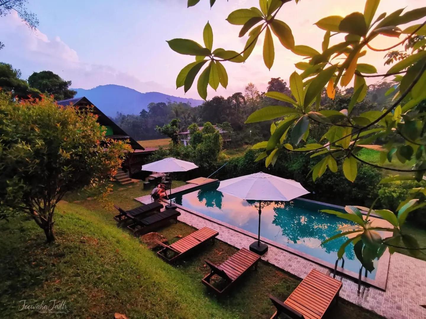 Cinnamon Village Sinharaja Deniyaya Exterior foto
